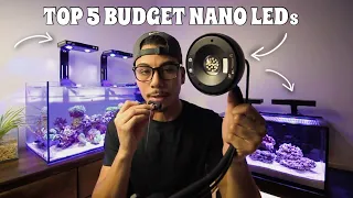 My top 5 budget nano reef LEDs