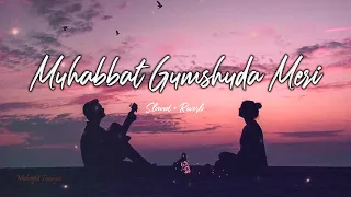 Muhabbat Gumshuda Meri🎵Tu Ibtida💕[OST]  | Slowed Reverb | Midnight Thought