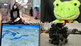 🇨🇦 저.. 캐나다가요! | 띄엄띄엄 토론토 일상 브이로그 | 유학생 Vlog, 출국 브이로그