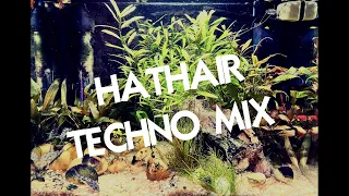 Techno Mix. HatHair147! Amelie Lens, Charlotte De Witte, Daniel Avery And More. (Fish Tank Visuals).