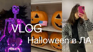 VLOG | Новый этап по подготовке к USMLE | Как в Америке празднуют Halloween? | Гуляем по Глендейлу