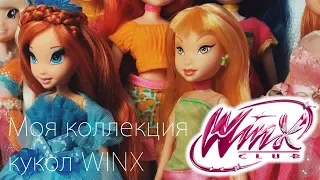 МОЯ КОЛЛЕКЦИЯ КУКОЛ WINX (Винкс)