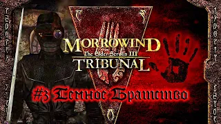 TES III: Morrowind: Tribunal - #3 Темное Братство