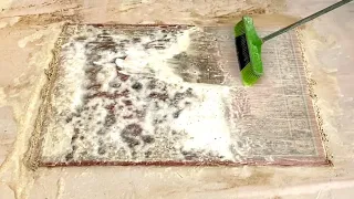 Satisfying rug washing and scraping | carpet cleaning | ASMR | cleaning rug