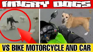 ANGRY DOGS VS BIKE, MOTORCYCLE, AND CAR! DOGS ATTACK VEHICLES