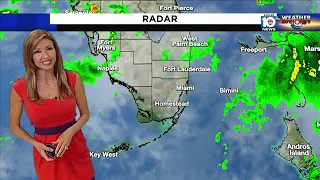 Local 10 News Weather: 06/15/21 Morning Edition