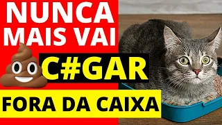 como fazer meu gato usar a caixa de areia ? como ensinar seu gato fazer necessidades no lugar certo