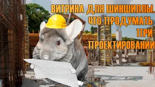 Витрина для шиншиллы. Что продумать при планировании