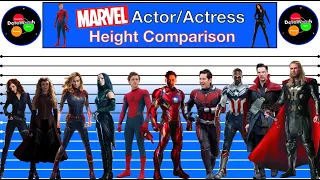 Hollywood Actor/Actress Height Comparison | Marvel Movies