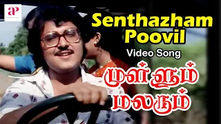 Mullum Malarum Tamil Movie Video Songs | Senthazham Poovil Video Song | Rajinikanth | Sarath Babu