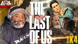 The Last of Us Episode 4 Reaction "Please Hold to My Hand" 1x4 First Time Watching Review - JL