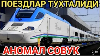 Новосибирск Ташкент автобус Ташкент Новосибир￼ск автобус Россия Узбекистан микроавтобус ￼