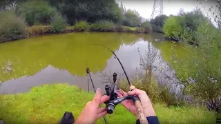 Using MAGGOTS and a Float to CATCH FISH
