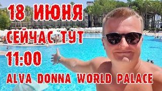 Alva Donna World Palace (Турция, Кемер) - отель в 11:00 дня