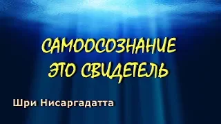 Самоосознание это свидетель [Шри Нисаргадатта, озв  Никошо]