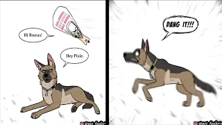 Hilariously Adorable Comics About Pixie And Brutus To Instantly Make Your Day ( Part 2 )