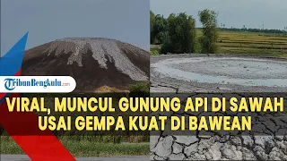 Viral, DIsebut Muncul Gunung Api di Sawah Usai Gempa Kuat di Bawean. Ini Kata PVMBG