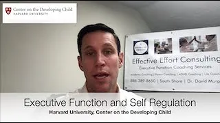 Executive Function and Self Regulation skills. Harvard University, Center of the Developing Child.