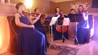Viva la vida String Quartet CANTANDO Струнный квартет Кантандо