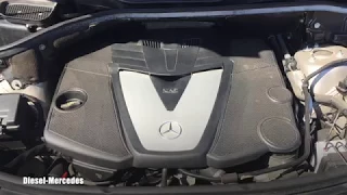 Mercedes-Benz OM642 Engine Cold Start, Idle