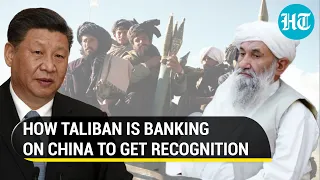 Xi Jinping backs Taliban; Chinese envoy tells Biden govt to unfreeze Afghan funds