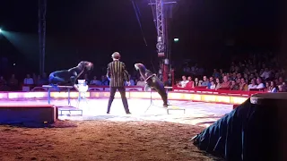 Circus Krone Show part 1