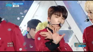 【TVPP】 SEVENTEEN - Don't Wanna Cry, 세븐틴-울고 싶지 않아 @Show Music core