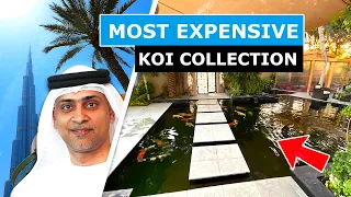 DUBAI MOST EXPENSIVE KOI COLLECTION *20,000 Gallon Koi Pond