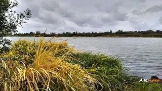 Октябрь, Днестр, Маяки 5/10/2019. Небольшие сазаны, лещ, и караси )