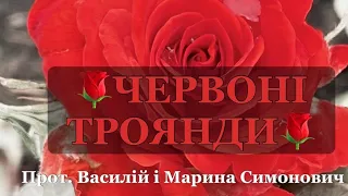 Червоні троянди // страсна пісня