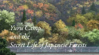 Yuru Camp and the Secret Life of Japanese Forests