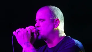 Philip H. Anselmo & The Illegals Vulgar Display Of Pantera Full Concert