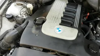 BMW E39 530d idle sound