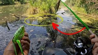 Je pêche des BROCHETS à la grenouille avec une canne en BAMBOU !? (FAIT MAISON #3)
