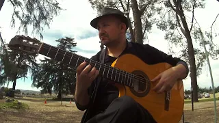 Gipsy kings Cover | Guitar By Aaron Copenhaguen #shorts #shortsvideo