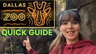 Quick Tour of the Dallas Zoo | Ultimate Guide & Animals!