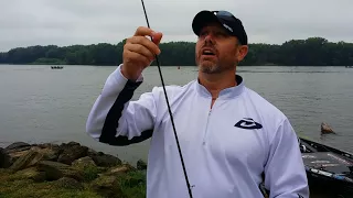 What fishing rod "power" and "action" mean