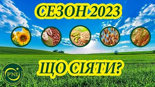 Україна 2023. Що сіяти у новому сезоні? Роздуми