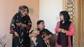 Nafarman" Part 2 - Shahzaa Ghaffar (full Funny New Pakistani Comedy Drama 2023