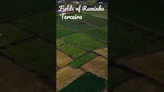Terceira: Fields of Raminho