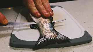 How to Fillet a Trout | The Ben Orvis Method