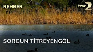 Rehber: Sorgun Titreyengöl