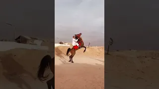 سلم الخيال من الحصان😓