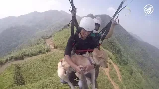 Dog And Owner Go Paragliding Together