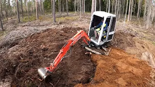 gräver upp stubbar med minigrävare