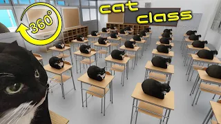 360° Maxwell The Cat in Japanese Classroom!!!!! 4K / VR