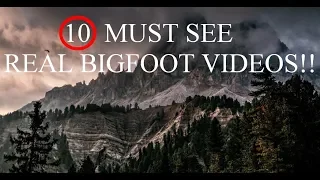 10 Amazing Bigfoot Videos!! That Show Proof Of Sasquatch!!