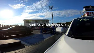 Mustang 5.0 Vs the 5 O, other 5.0s, Scatpack, BMW 440i and built F250!