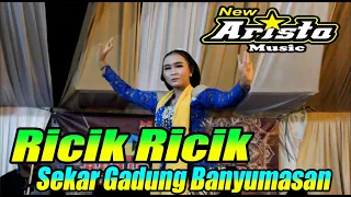 RICIK RICIK BANYUMASAN SEKAR GADUNG NEW ARISTA MUSIC || LIVE KEDUNG WRINGIN SEMPOR