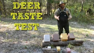 What do Deer Eat? Deer Salt Block Taste Test!